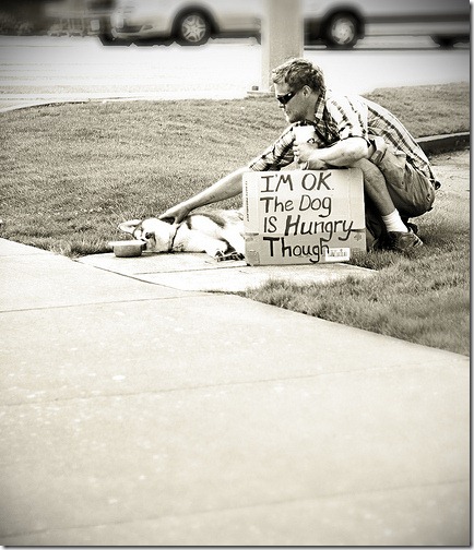 A man seated on grass with a small dog and a sign saying the dog is hungry